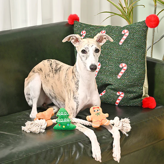 Hugsmart - Happy Woofmas - Holiday Gingerbread - Image 3