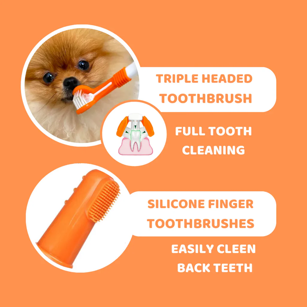Dogslife - Dental Care Kit - Image 3