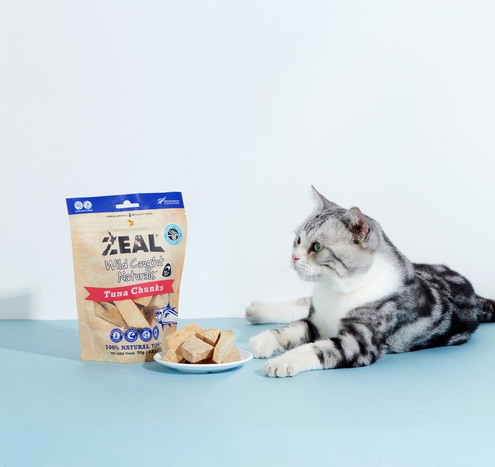 Zeal - NZ Caught Naturals - Tuna Chunks - Image 5
