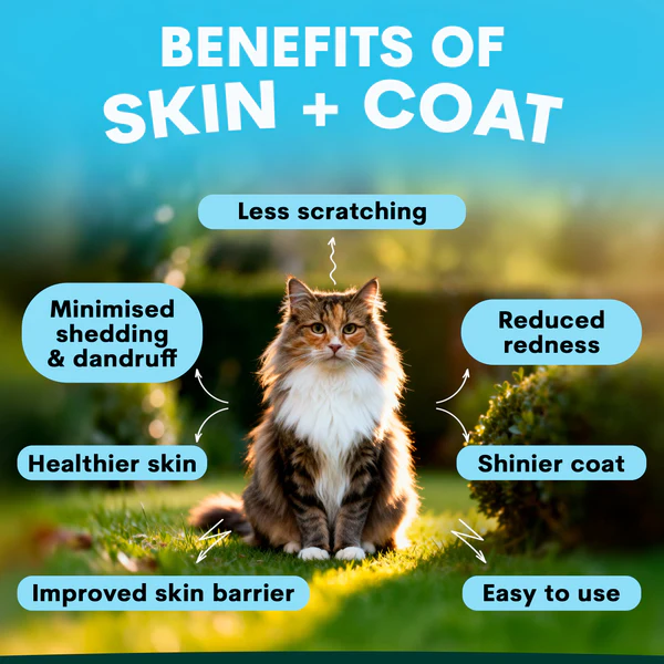 PetzPark - Skin + Coat - For Cats - Image 3