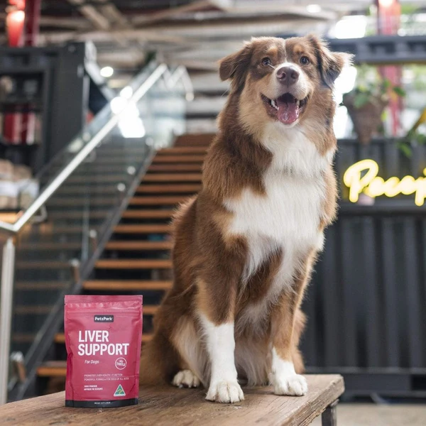 PetzPark - Liver Support - For Dogs - Image 5