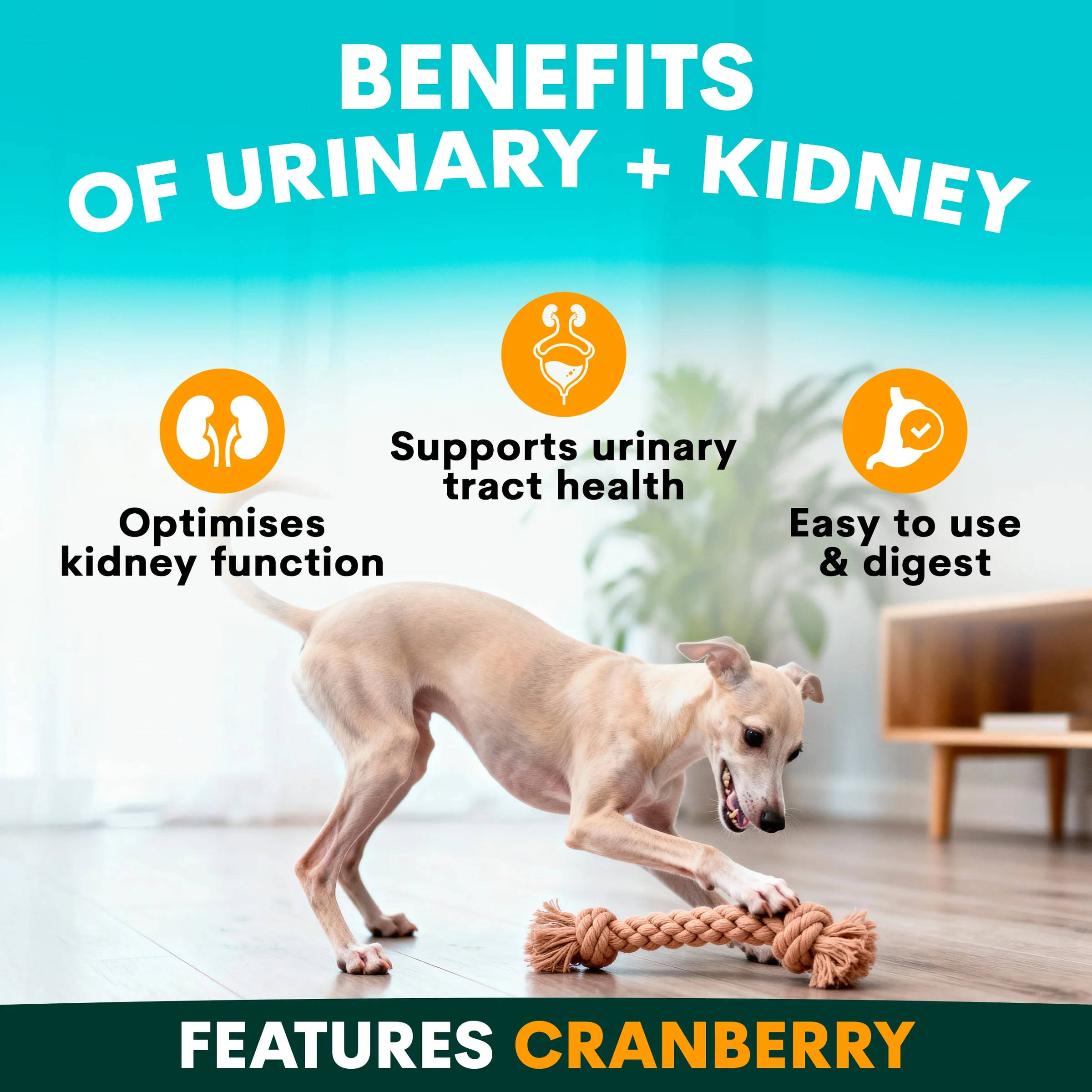 PetzPark - Urinary + Kidney - For Dogs - Image 3