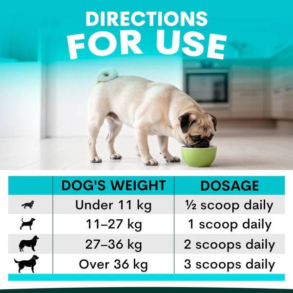 PetzPark - Urinary + Kidney - For Dogs - Image 4