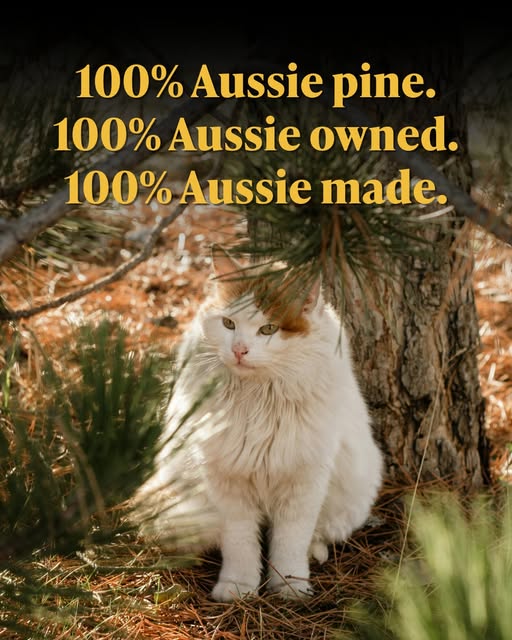 Elite Wood Pellets - Cat Litter - Compressed Pine Pellets - Image 4