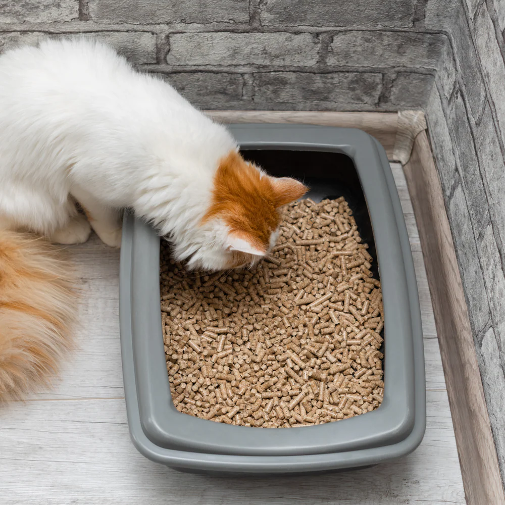 Elite Wood Pellets - Cat Litter - Compressed Pine Pellets - Image 3