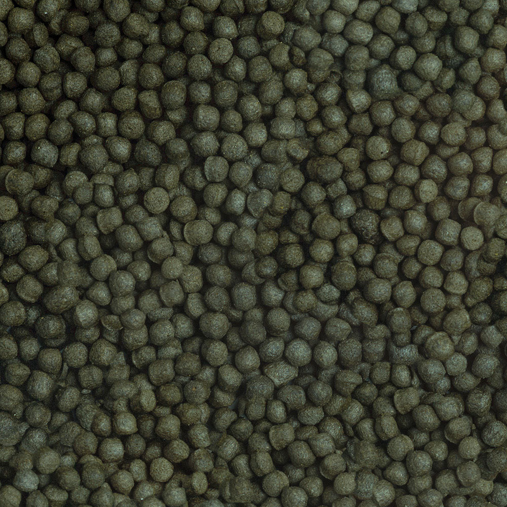 Sera - Cichlid Herbivore Granules XL - Image 2