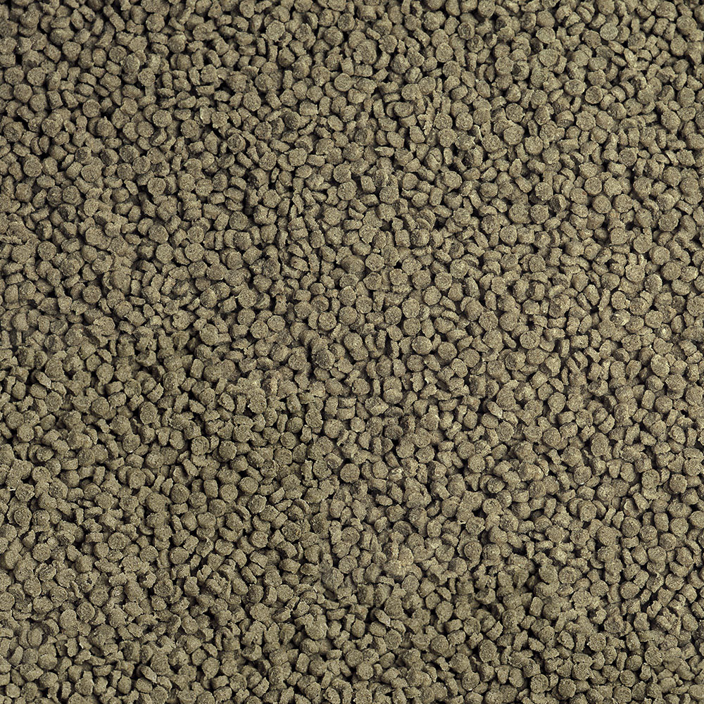 Sera - Cichlid Malawi Granules - Image 2