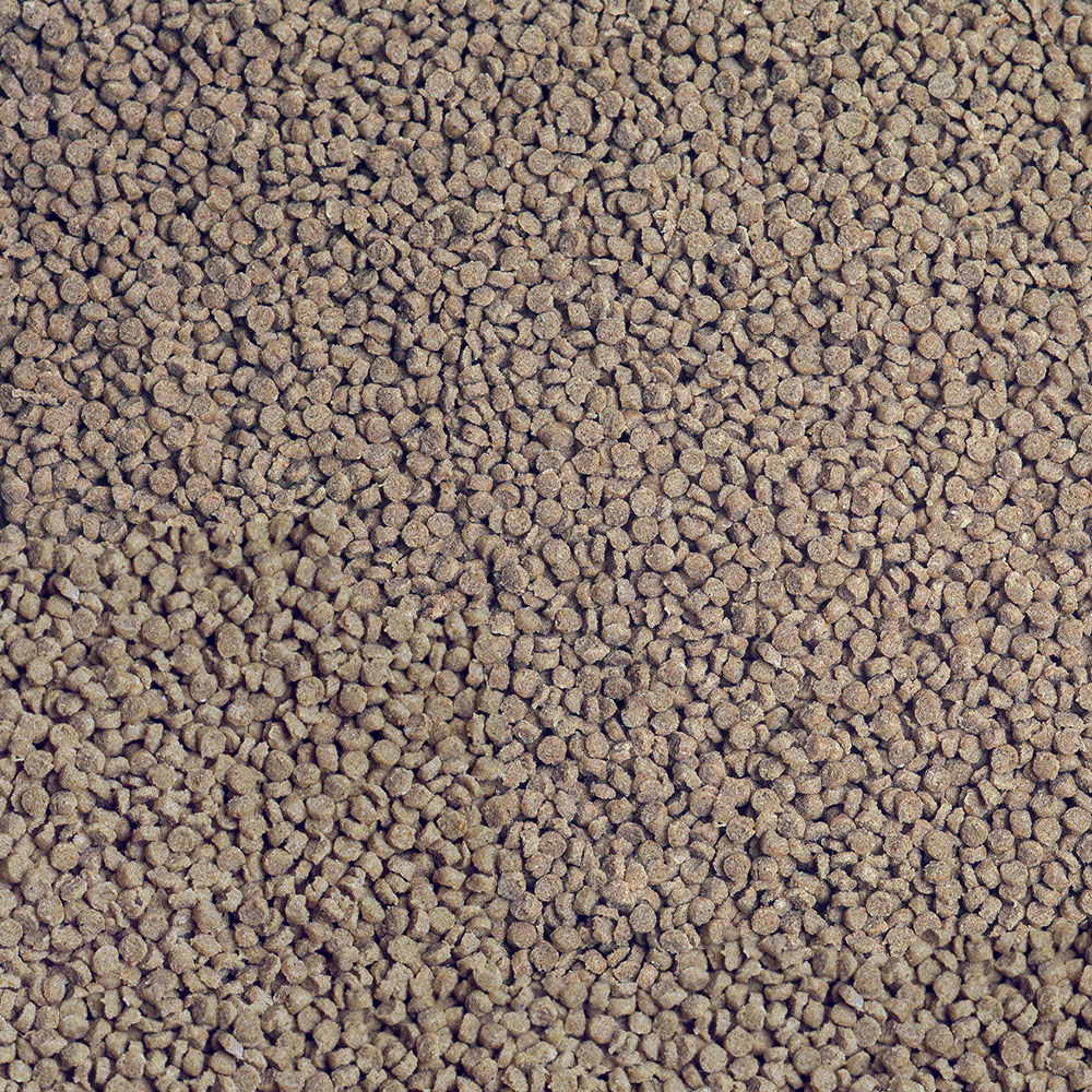 Sera - Cichlid Tanganyika Granules - Image 2