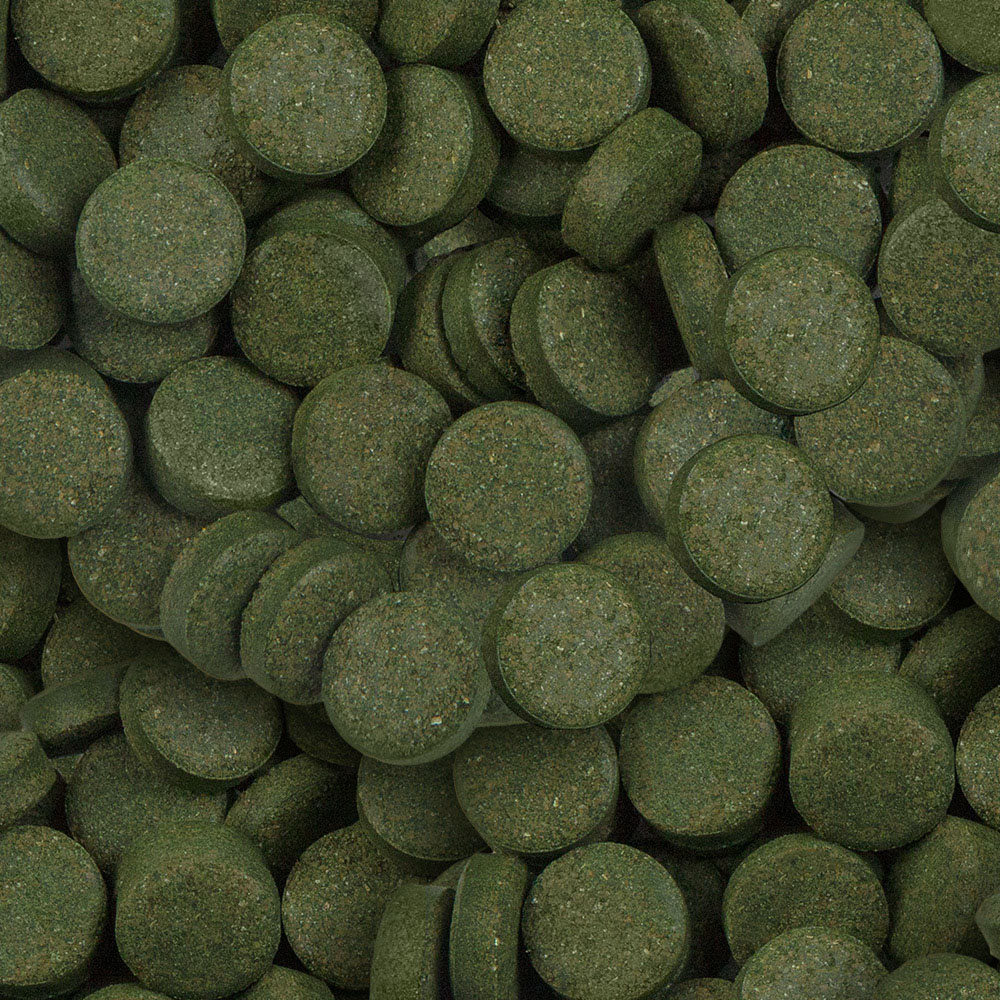 Sera - Spirulina Tabs - Image 2