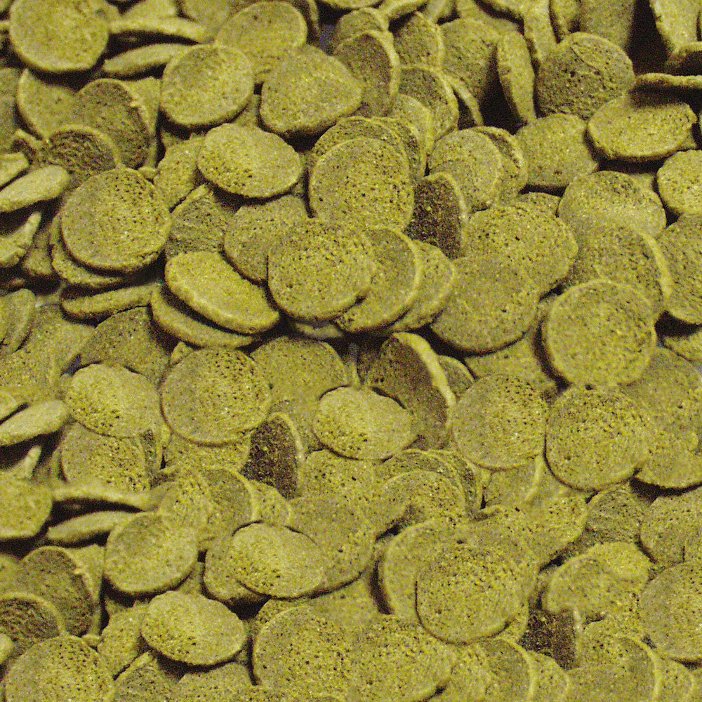 Sera - Pleco Chips - Image 2
