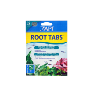 API - Root Tabs