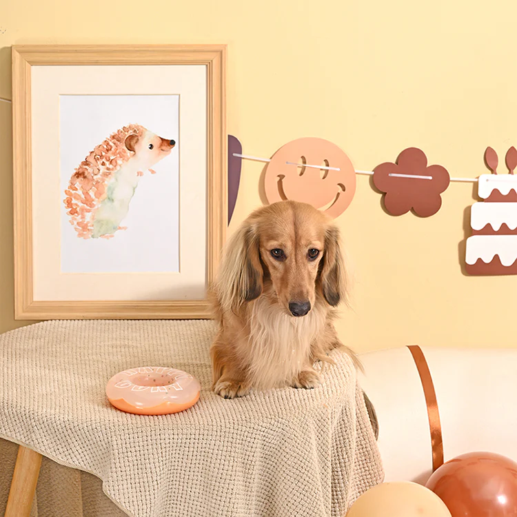 Hugsmart - Yappy Birthday - TPR Donut - Image 3