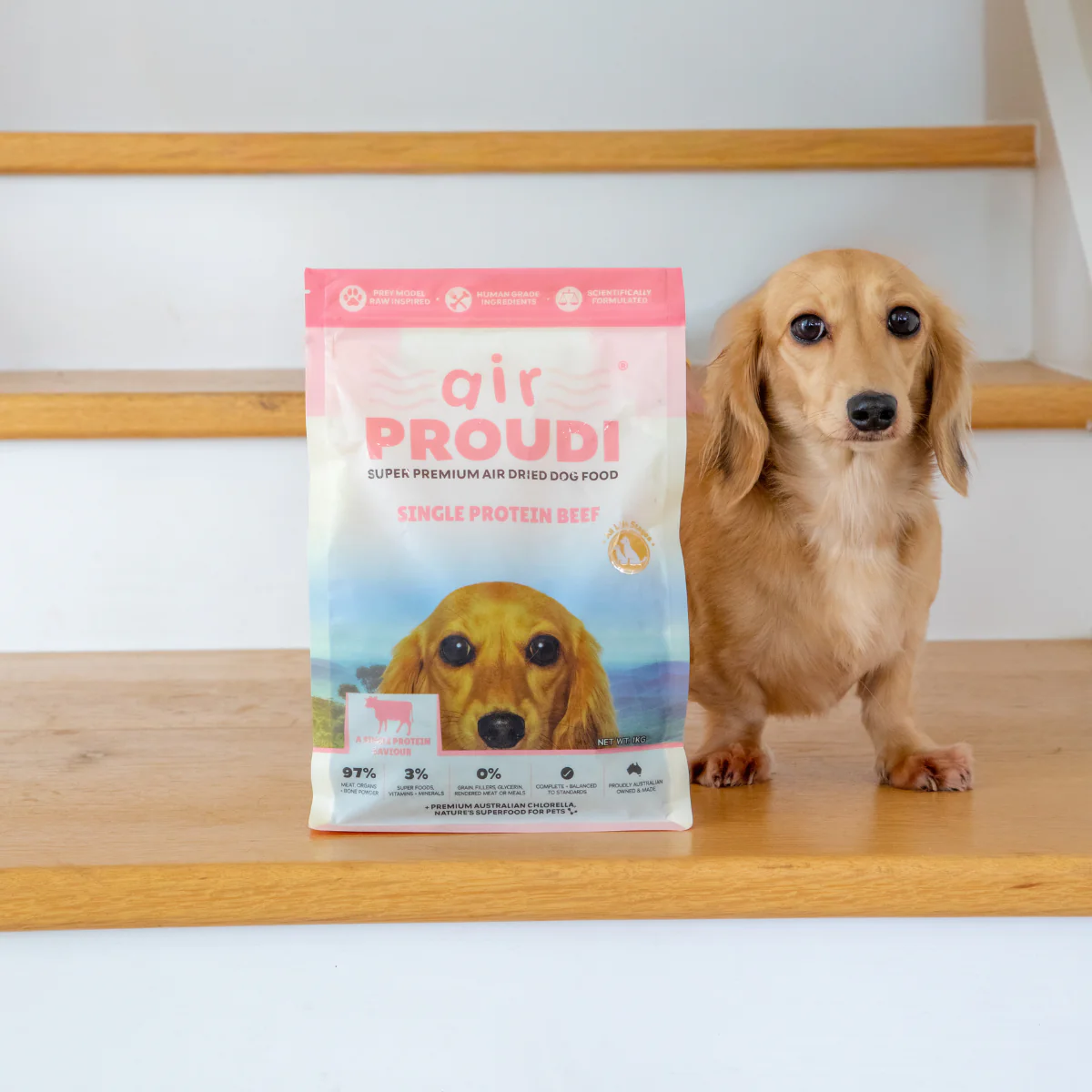Proudi - Super Premium Air Dried Dog Food - Single Protein Beef - Image 3