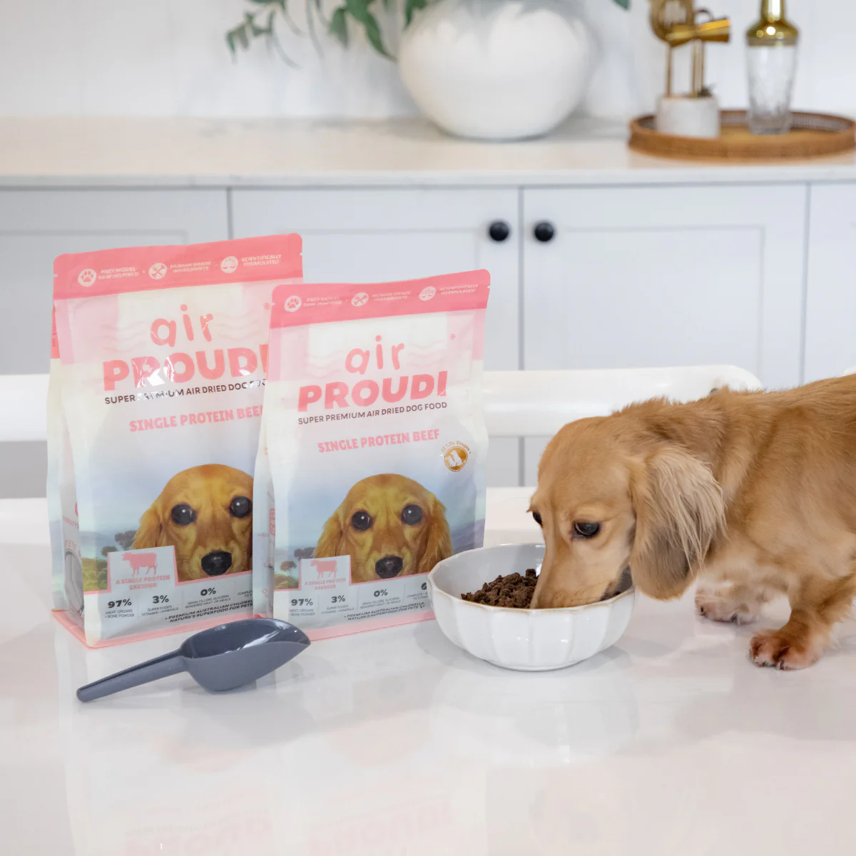 Proudi - Super Premium Air Dried Dog Food - Single Protein Beef - Image 2