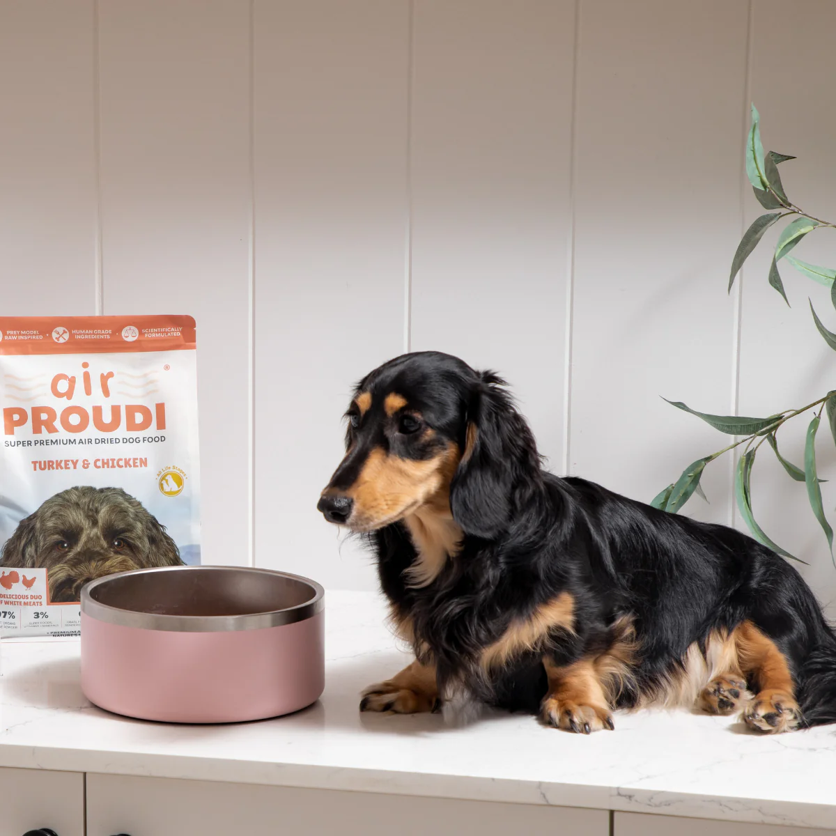 Proudi - Super Premium Air Dried Dog Food - Turkey & Chicken - Image 3