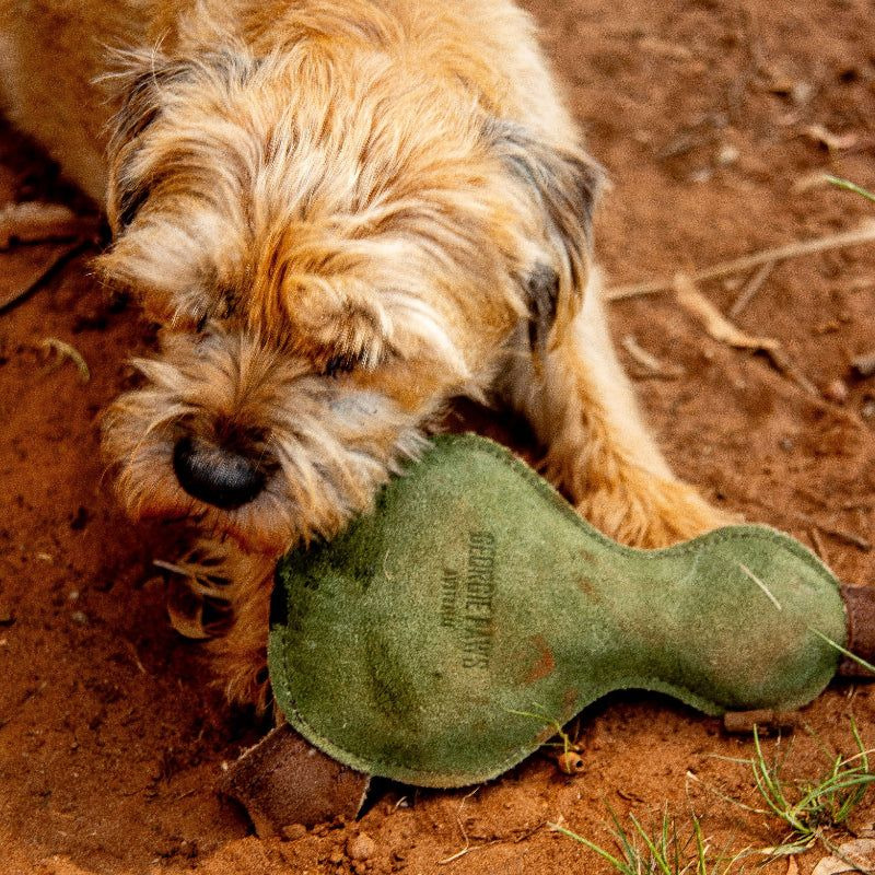 Georgie Paws - Paul the Platypus - Image 5