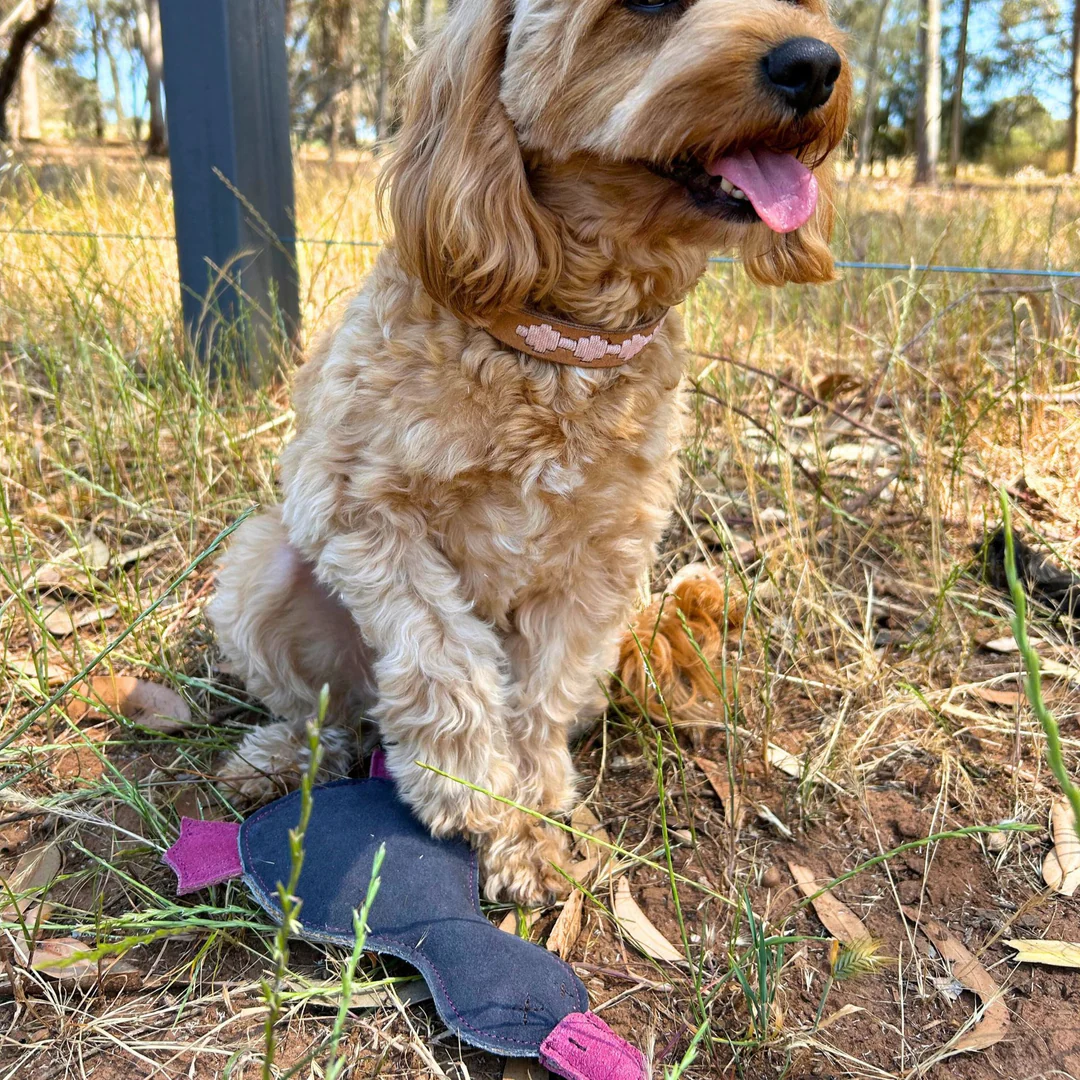 Georgie Paws - Paul the Platypus - Image 4