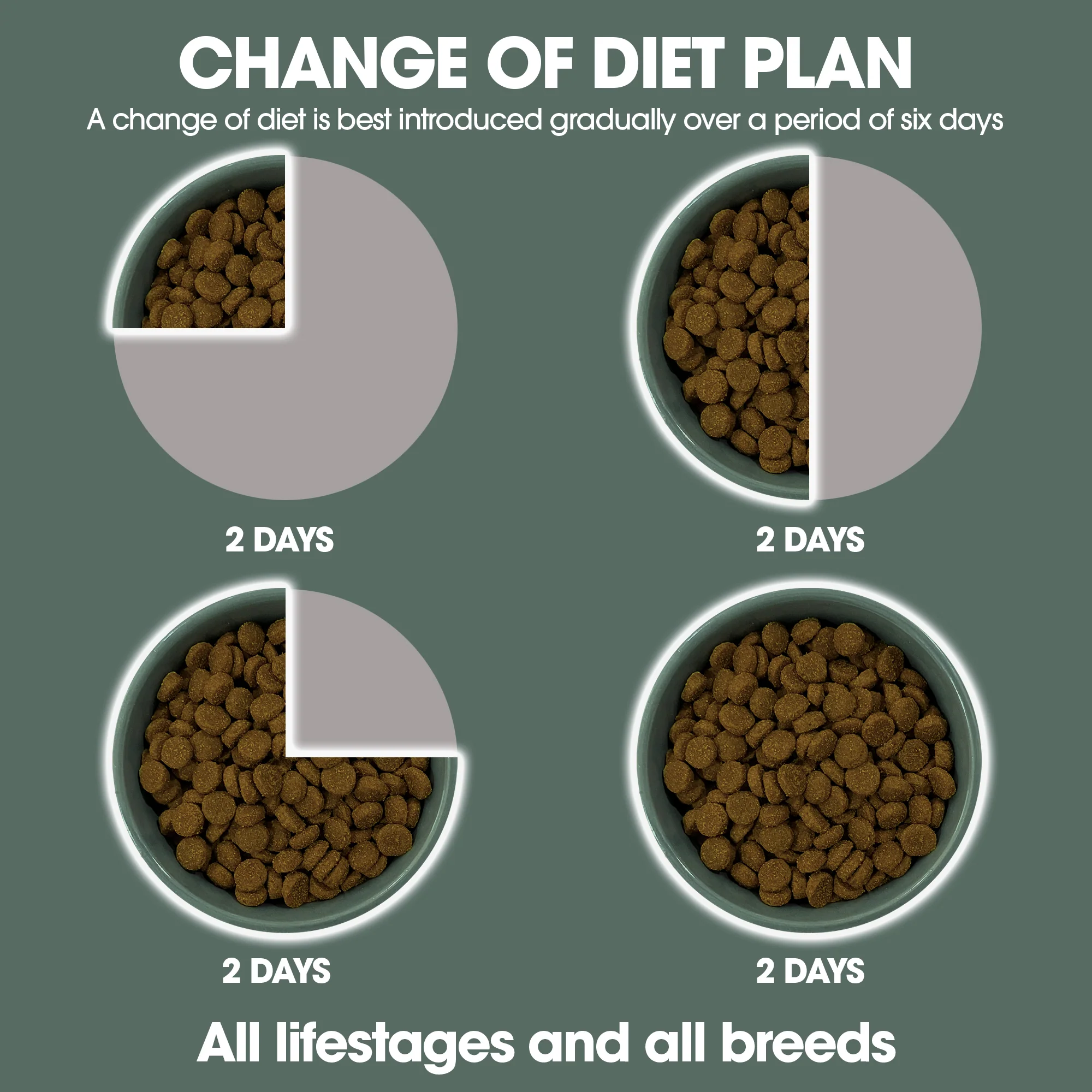 Pure Life - Adult Dog - Freeze-Dried Raw Coated Kibble - Lamb & Kangaroo - Image 7