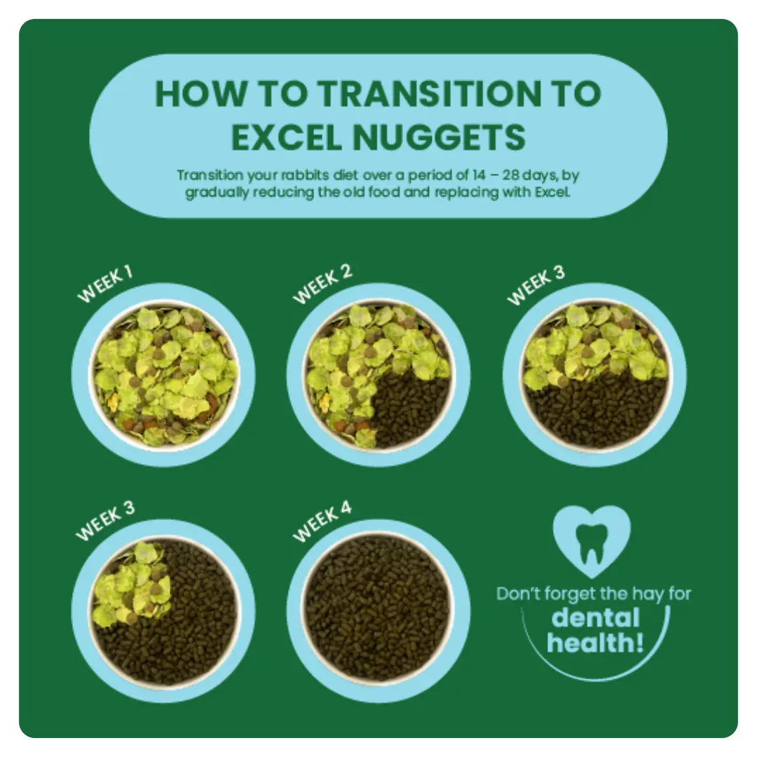 Burgess Excel - Junior & Dwarf Rabbit Nuggets with Mint - Image 4
