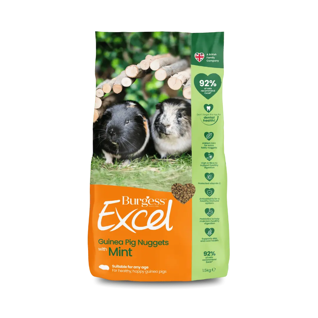 Burgess Excel - Guinea Pig Nuggets with Mint