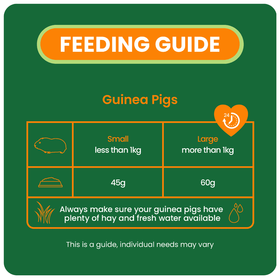 Burgess Excel - Guinea Pig Nuggets with Mint - Image 4