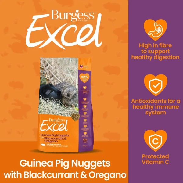 Burgess Excel - Guinea Pig Nuggets with Blackcurrant & Oregano ...