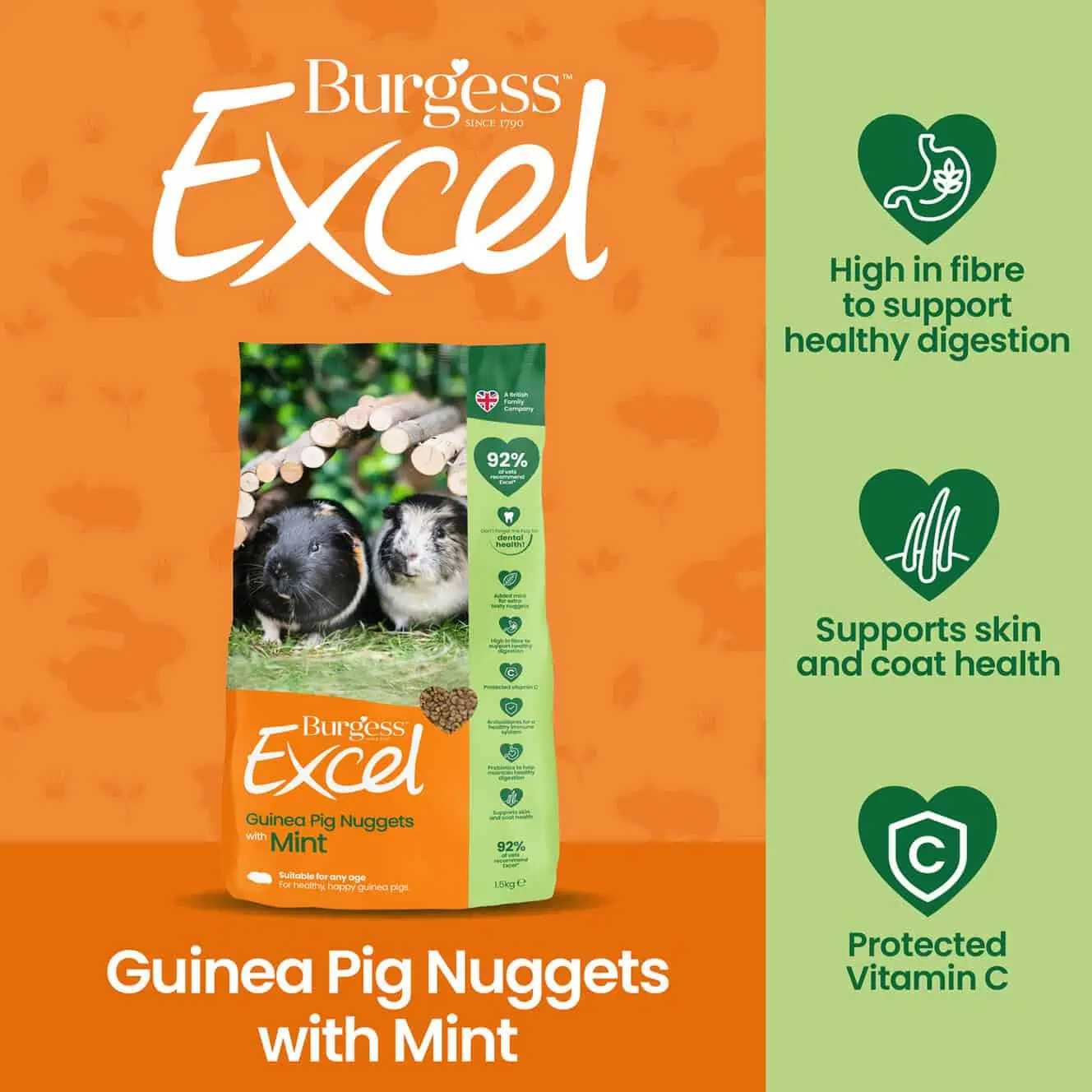 Burgess Excel - Guinea Pig Nuggets with Mint - Image 3