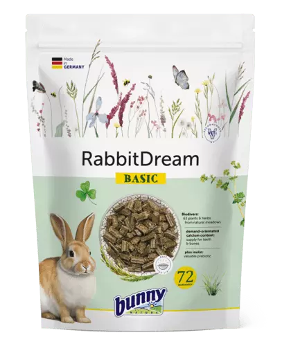 Bunny Nature - RabbitDream - Basic
