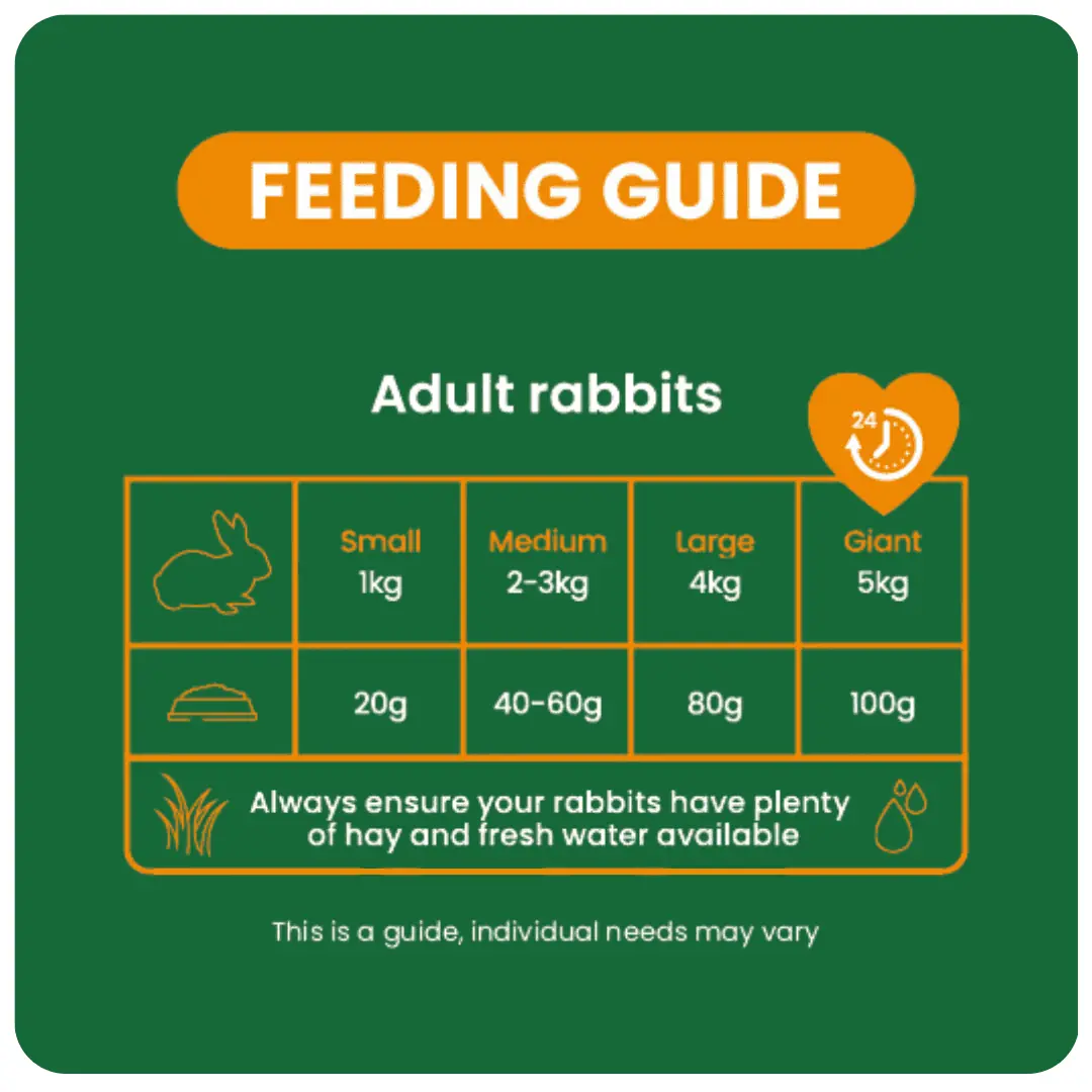 Burgess Excel - Indoor Rabbit Nuggets - Image 4