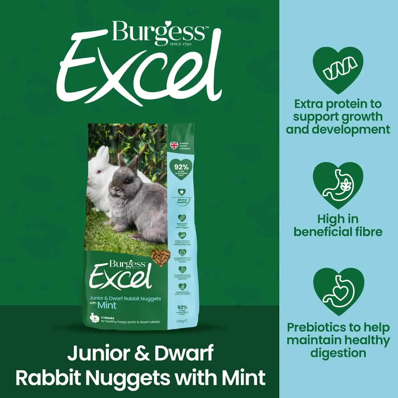 Burgess Excel - Junior & Dwarf Rabbit Nuggets with Mint - Image 3