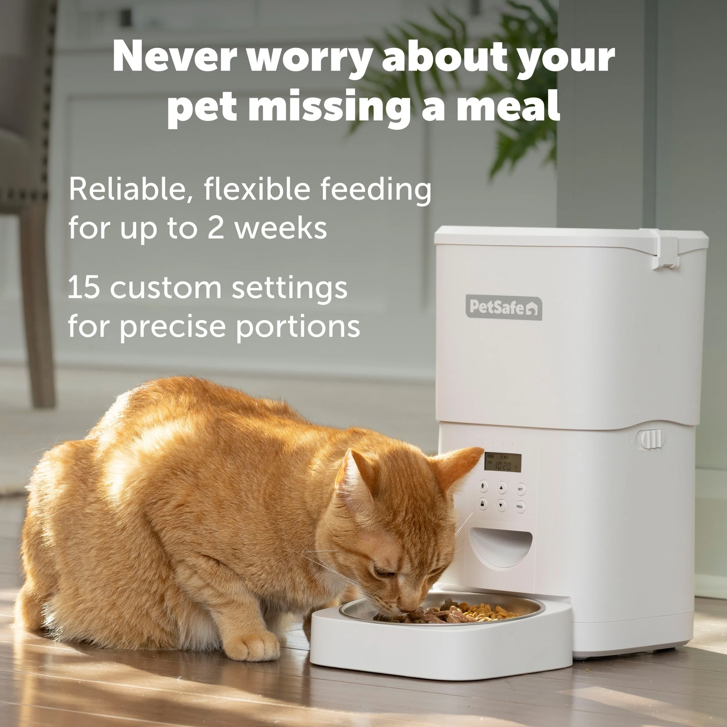 PetSafe - FlexFeed Automatic Pet Feeder - Image 3