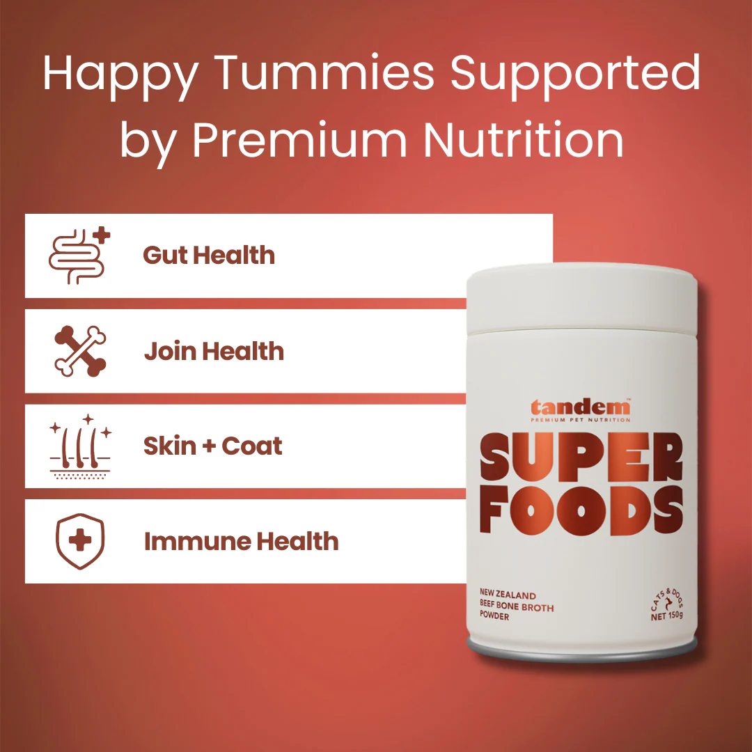 Tandem - Super Foods - New Zealand Beef Bone Broth Powder - Image 5