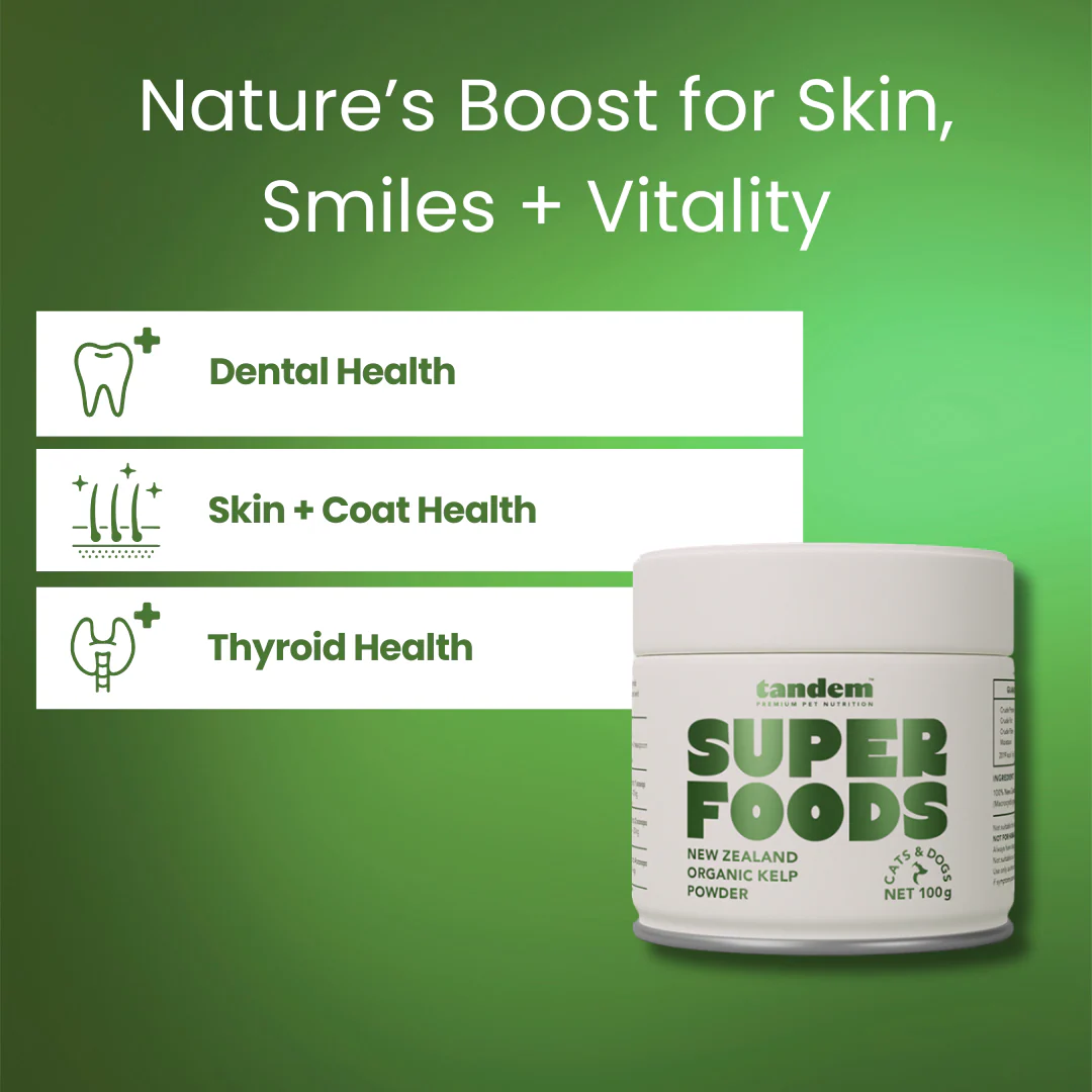 Tandem - Super Foods - New Zealand Organic Kelp Powder - Image 6