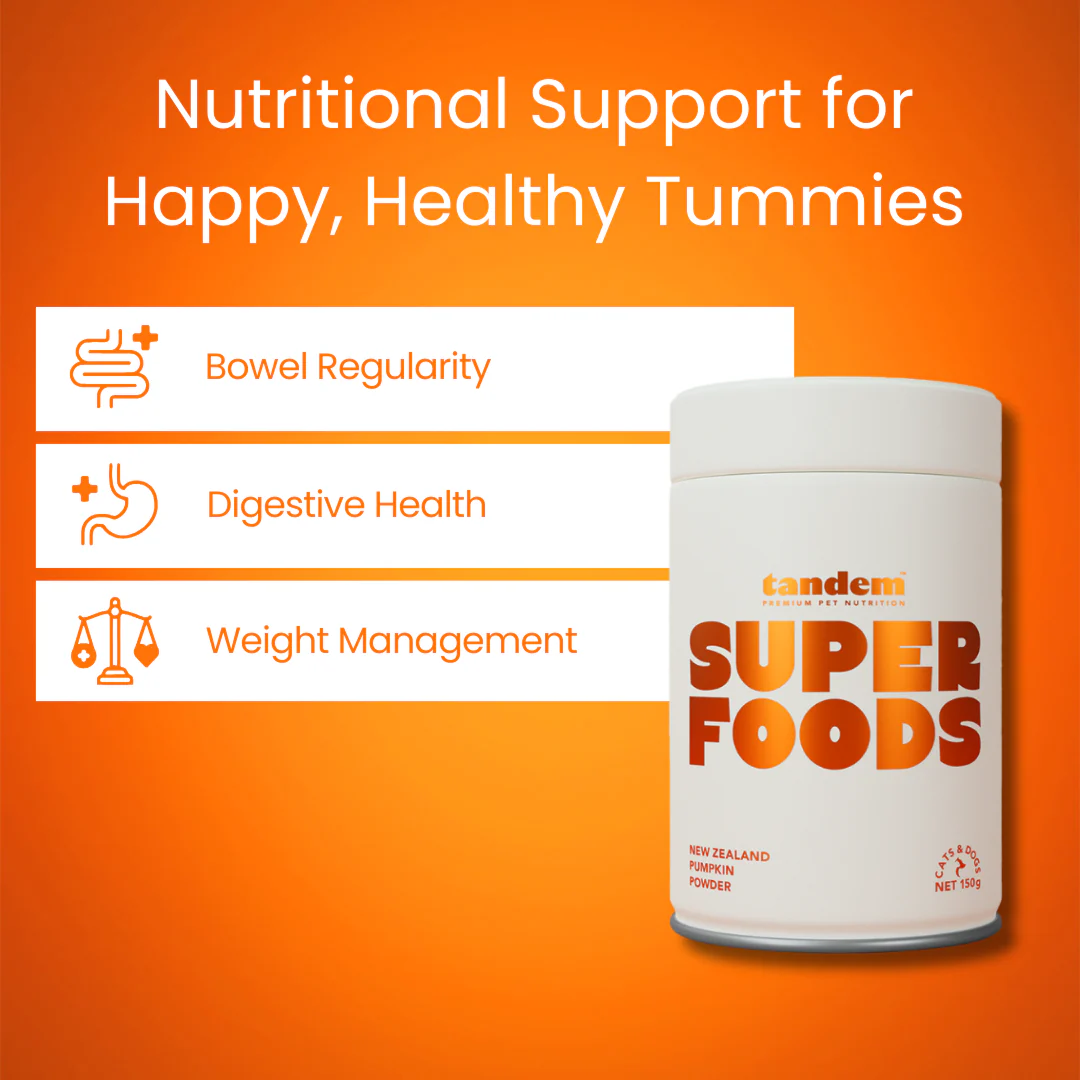 Tandem - Super Foods - New Zealand Pumpkin Powder - Image 5