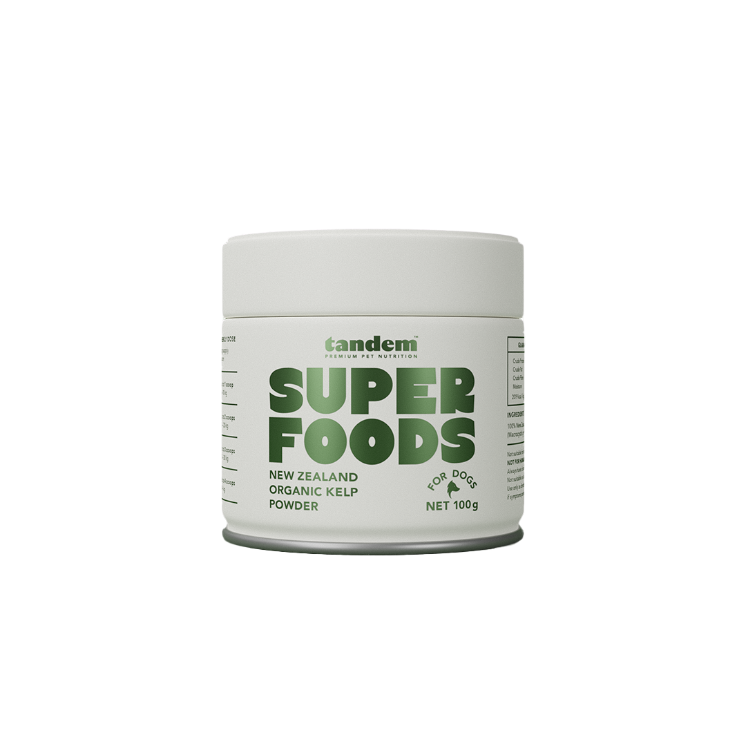 Tandem - Super Foods - New Zealand Organic Kelp Powder - Image 2