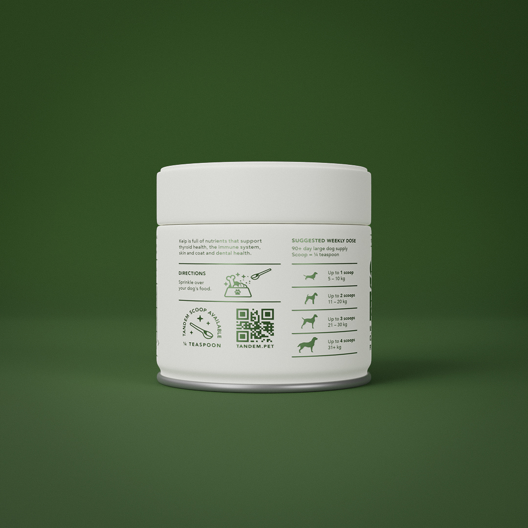 Tandem - Super Foods - New Zealand Organic Kelp Powder - Image 3