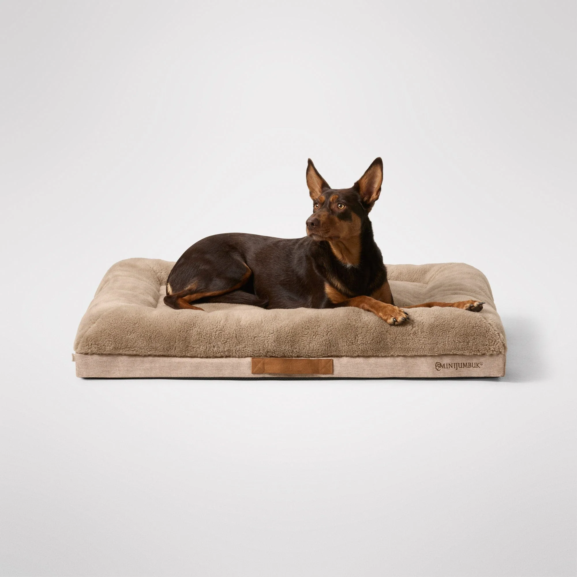 MiniJumbuk - Ortho Sanctuary - Fawn - Image 3