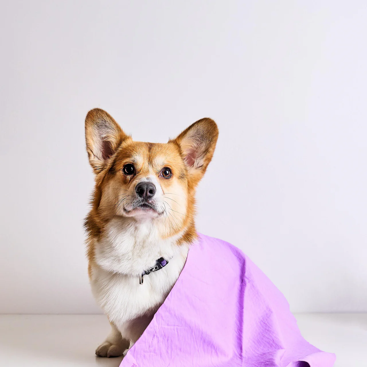 U Groom - Dog Drying Towel - Image 2