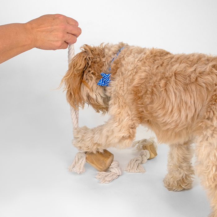 Dan & Sam - Pull and Tug - Coffee Wood Rope Toy - Image 4