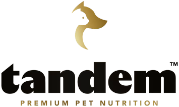 Tandem_-_Horizontal_Black_w_Small_Gold_Brandmark_Large_355X212_b495987b-be86-4ea7-b84d-348e7f93808e