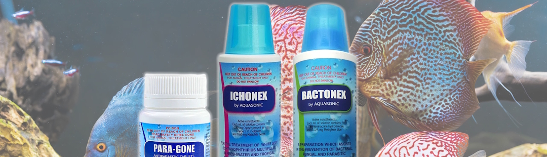 aquasonic-header