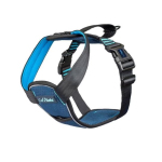 CarSafe Harness Buy-In Deal - Option 2 - Crash Tested Harness Deal