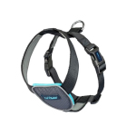 CarSafe Harness Buy-In Deal - Option 1 - Travel Harness Deal