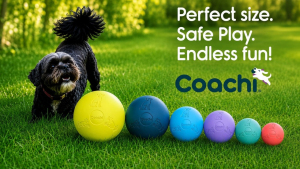 Coachi Relaunches Heritage Boomi Ball to Support Behaviour-Led Play